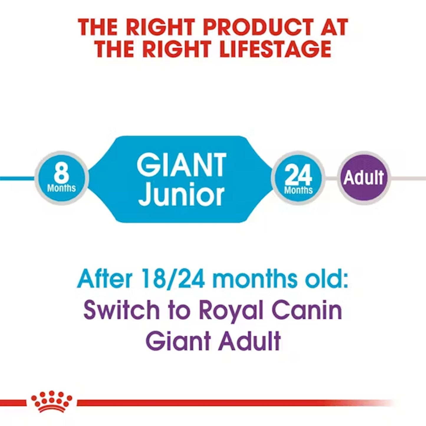 Royal Canin Giant Junior Dry Dog Food — in use
