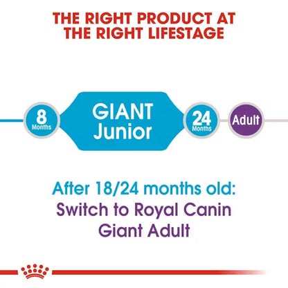Royal Canin Giant Junior Dry Dog Food — in use