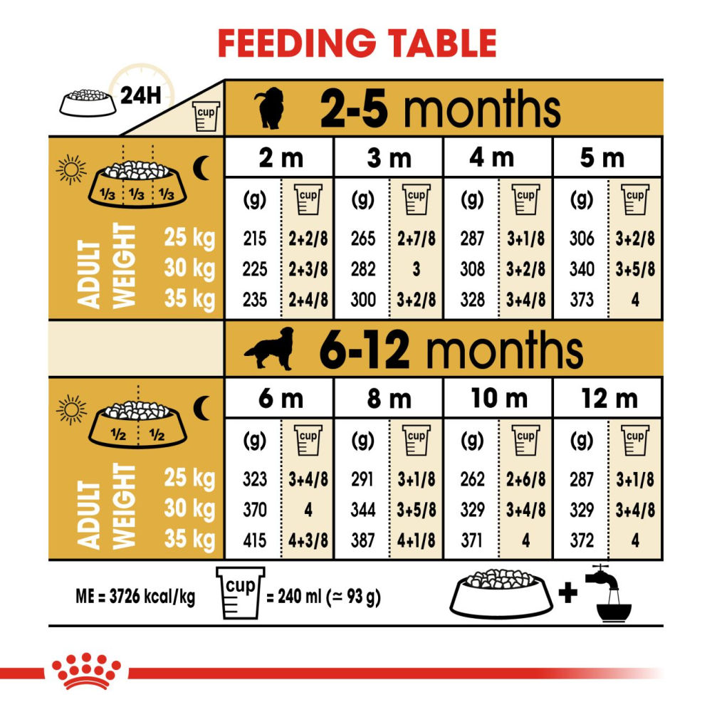 Royal Canin Golden Retriever Puppy Dog Dry Food — in use