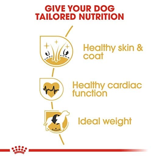 Royal Canin Golden Retriver Adult Dog Dry Food — side view