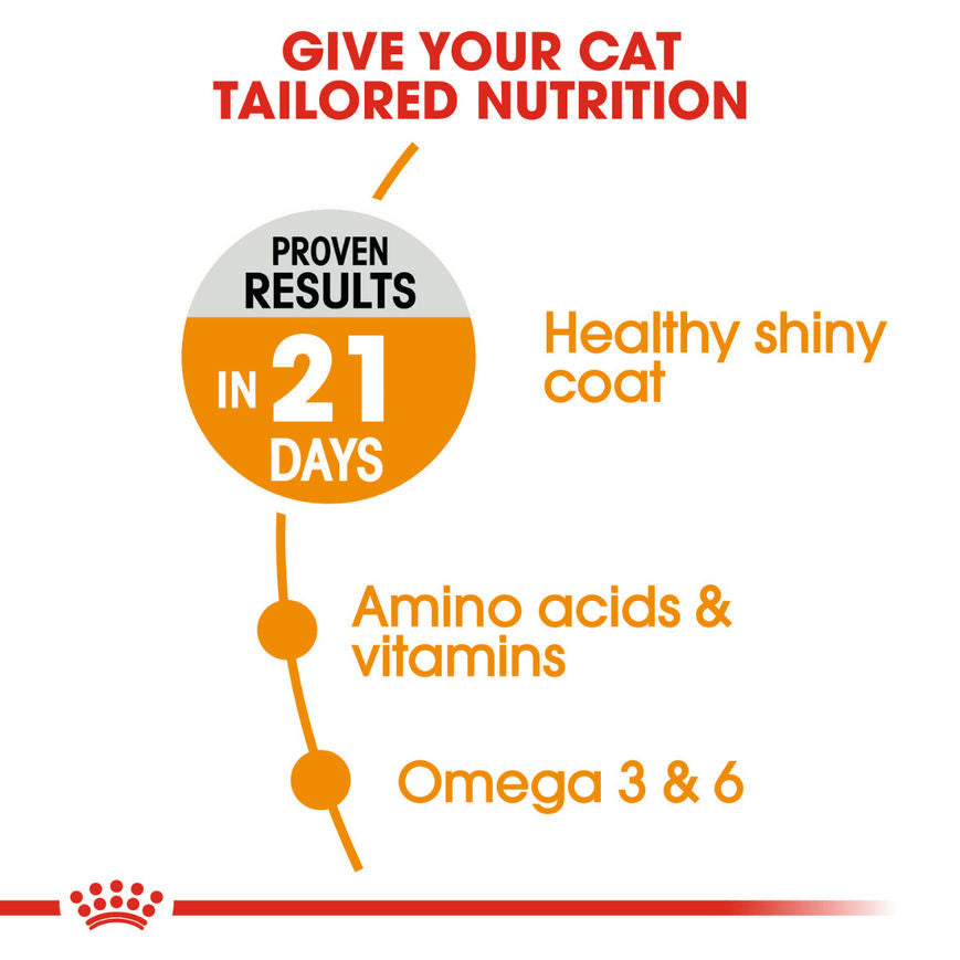 Royal Canin Hair And Skin Care Adult Dry Cat Food Bgb - Image 4