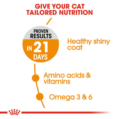 Royal Canin Hair And Skin Care Adult Dry Cat Food Bgb - Image 4