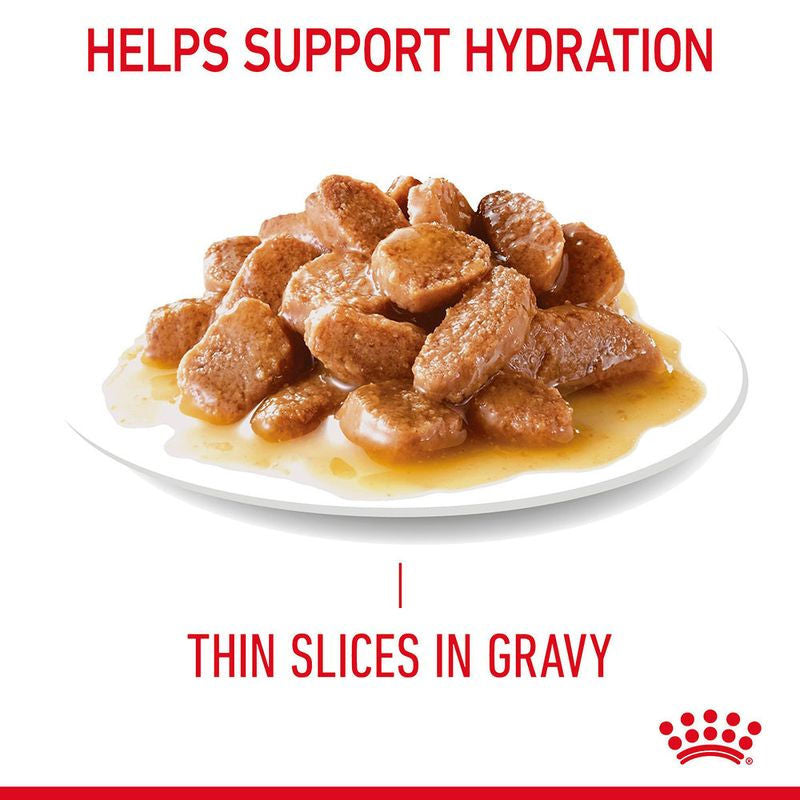 Royal Canin Hair & Skin Care Adult Gravy Cat Wet Food — in use