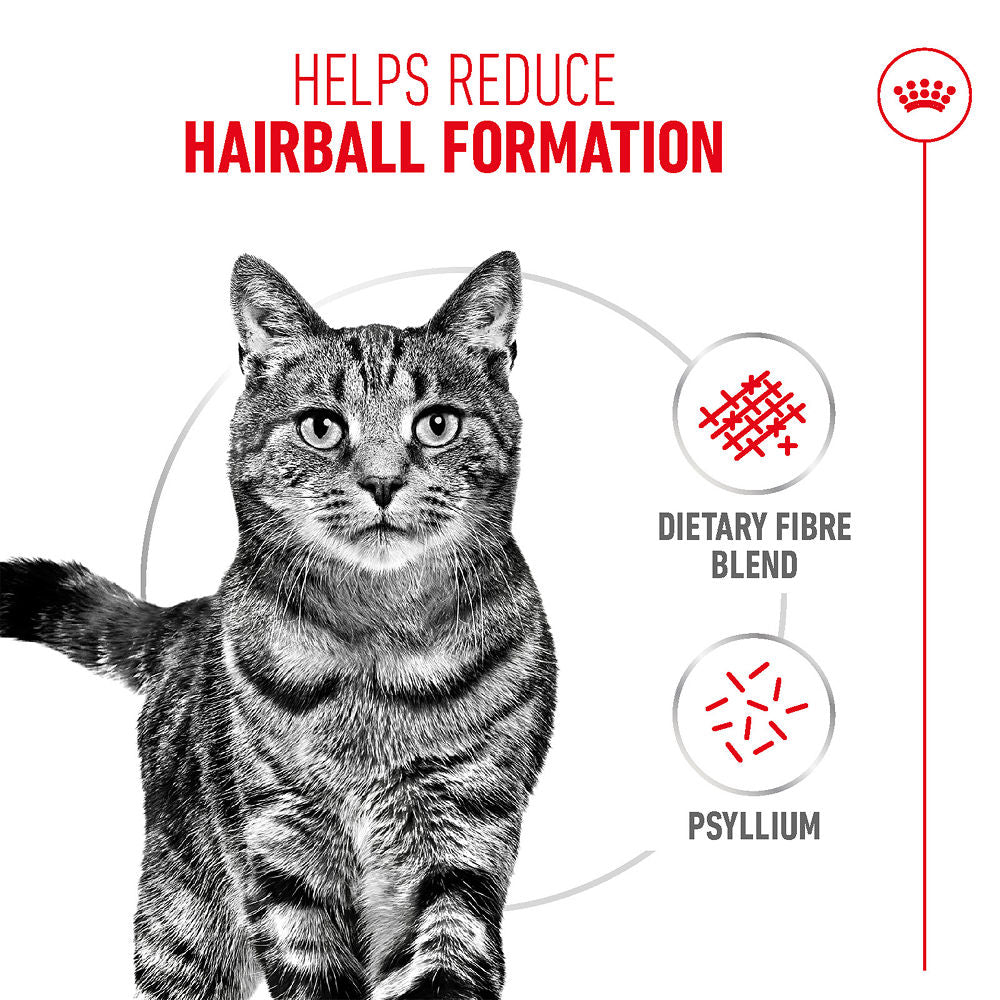 Royal Canin Hairball Care Food for Adult Cat Dry Food — detail shot