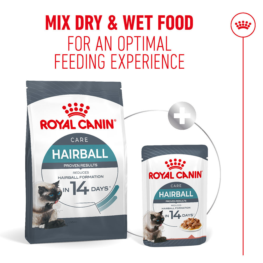 Royal Canin Hairball Care Food for Adult Cat Dry Food — in use