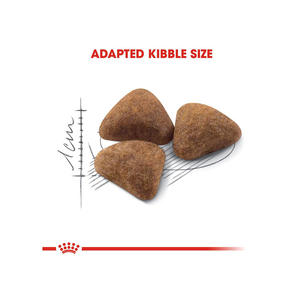 Royal Canin Indoor 27 Dry Cat Food — back view
