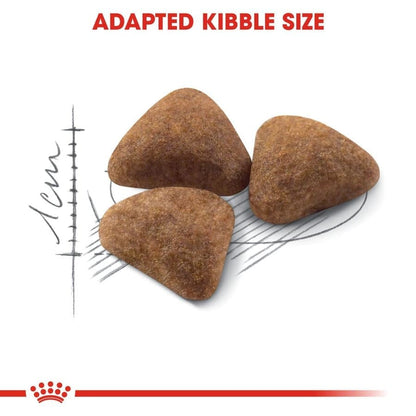 Royal Canin Adult Complete Fhn Indoor Dry Cat Food Bgb - Image 3