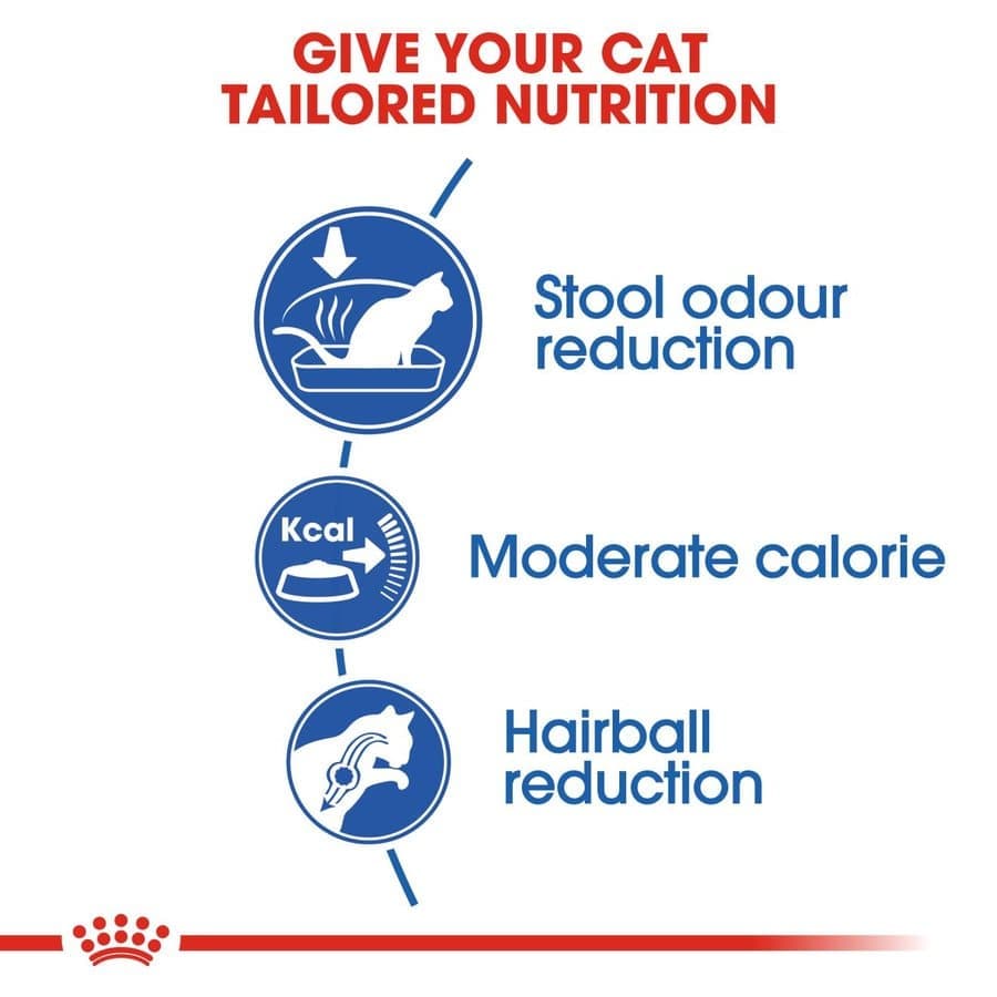Royal Canin Adult Complete Fhn Indoor Dry Cat Food Bgb - Image 4