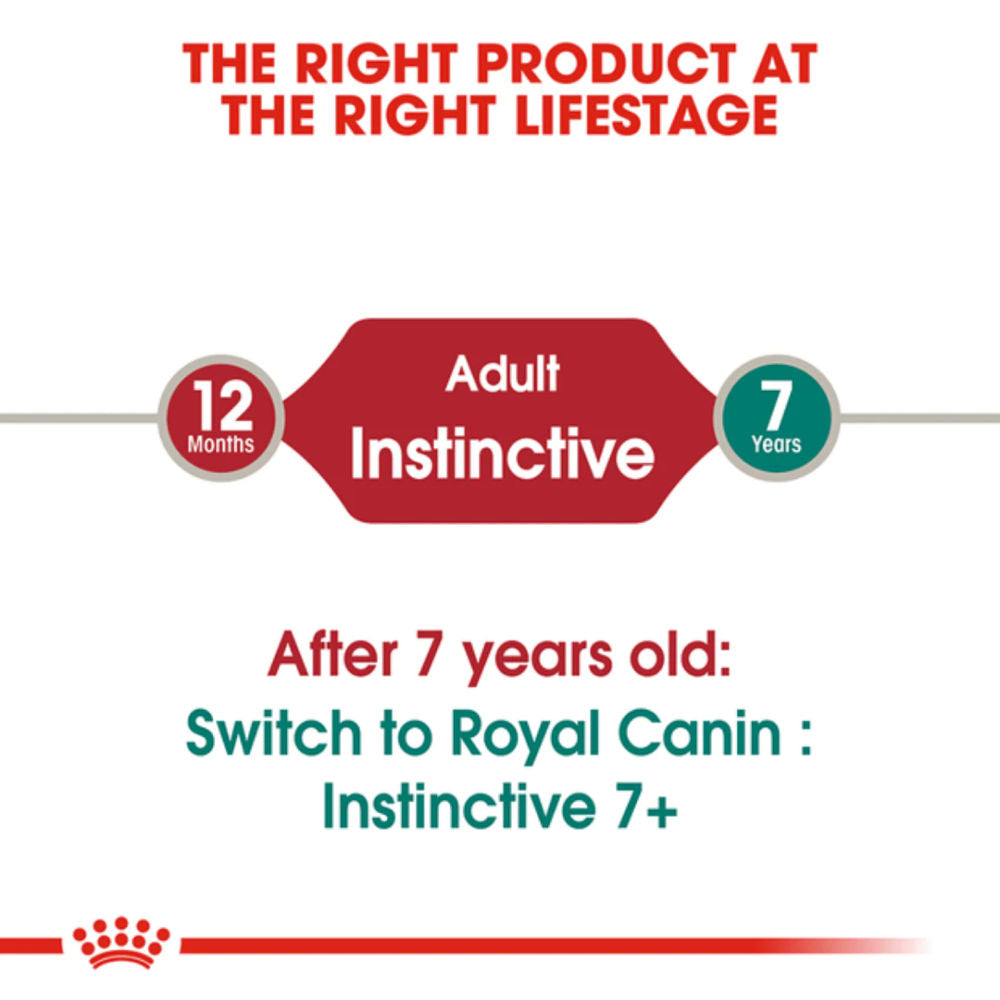 Royal Canin Instinctive Adult Gravy Cat Wet Food — detail shot