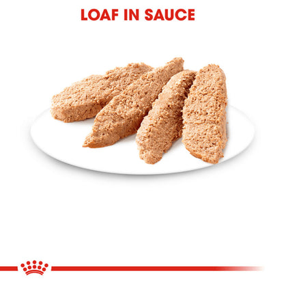 Royal Canin Instinctive Adult Loaf Mousse Cat Wet Food — in use