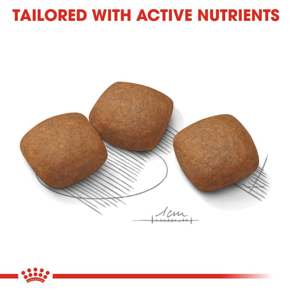 Royal Canin Joint Care Maxi Adult Dog Dry Food — back view