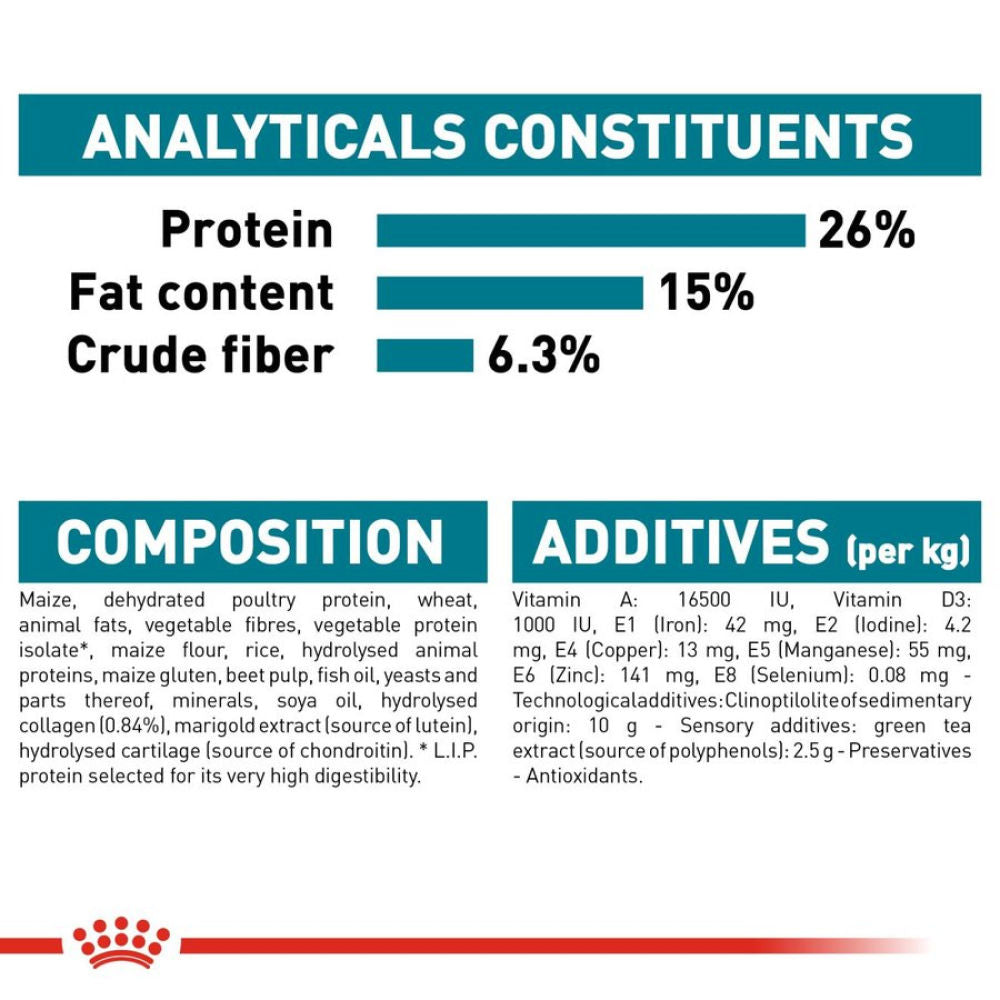 Royal Canin Joint Care Maxi Adult Dog Dry Food — detail shot