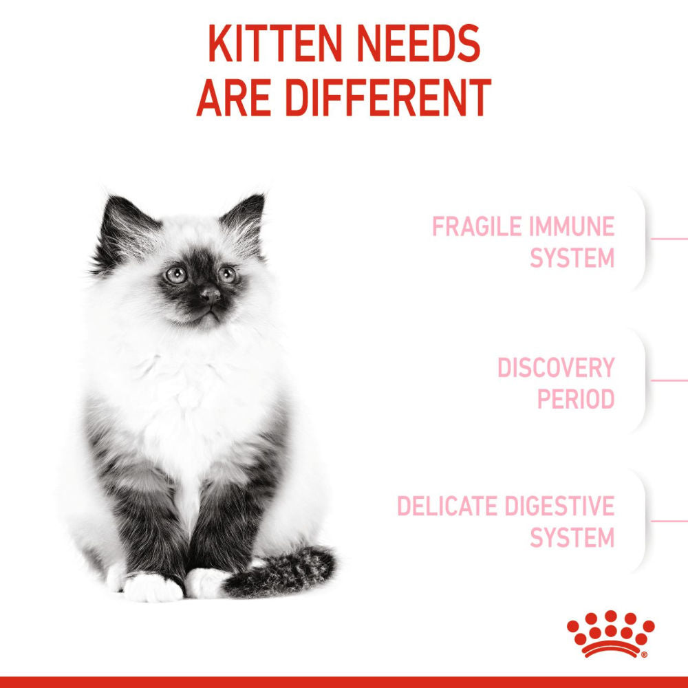 Royal Canin Kitten Cat Dry Food Bgb - Image 3