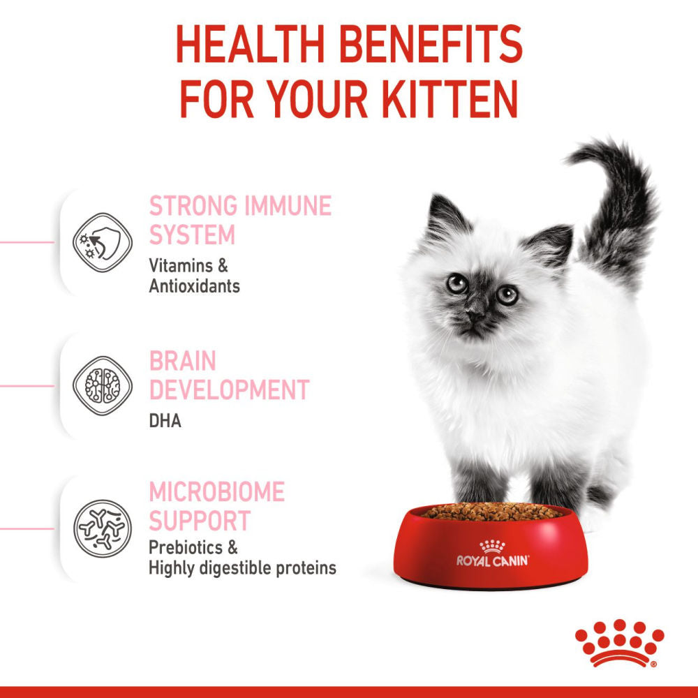 Royal Canin Kitten Cat Dry Food Bgb - Image 4
