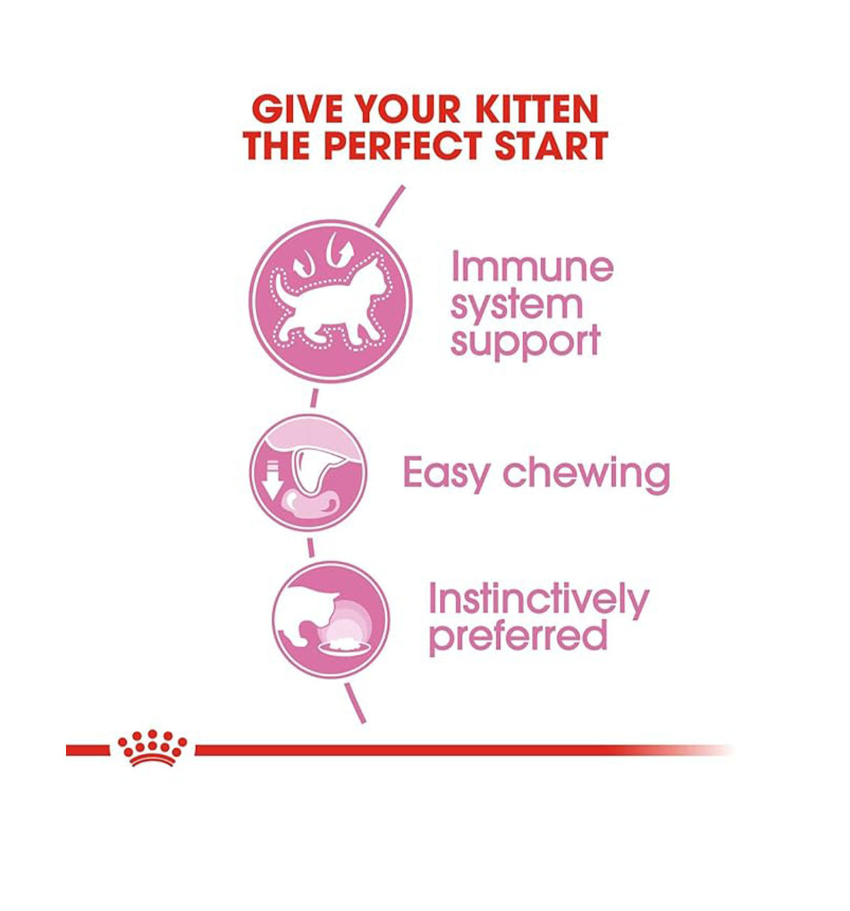Royal Canin Kitten Wet Food in Gravy — detail shot