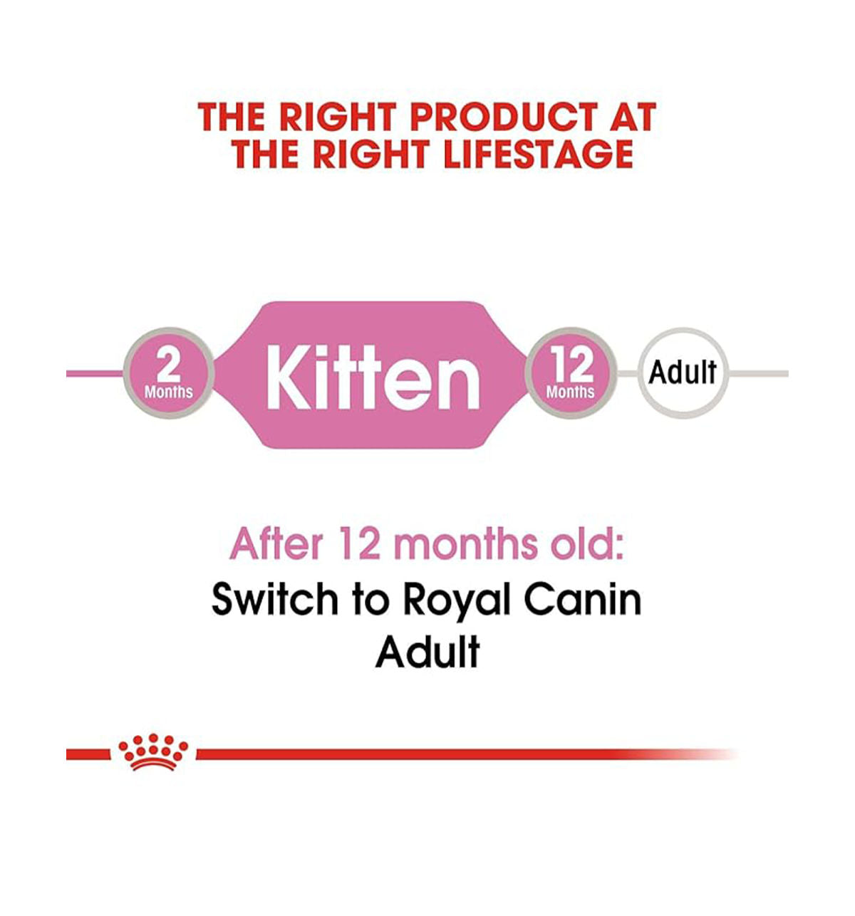 Royal Canin Kitten Wet Food in Gravy — in use