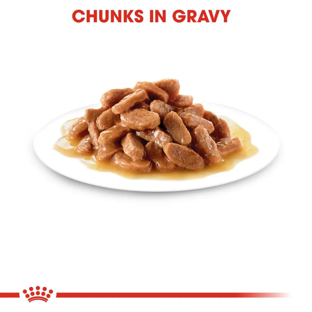 Royal Canin Kitten Wet Food in Gravy — detail shot