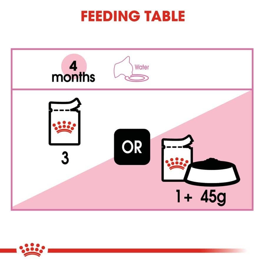 Royal Canin Kitten Wet Food in Gravy — in use