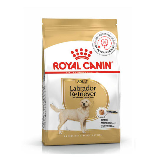 Royal Canin Labrador Large Adult Dry Dog Food