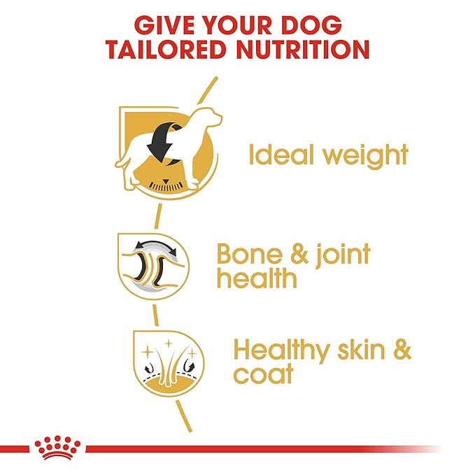 Royal Canin Labrador Retriever Adult Dog Dry Food — detail shot