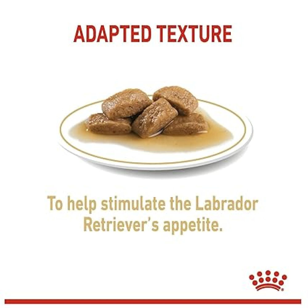 Royal Canin Labrador Retriever Adult Dog Wet Food — side view