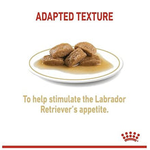 Royal Canin Chunks In Gravy Labrador Retriever Adult Dog Wet Food - Image 2