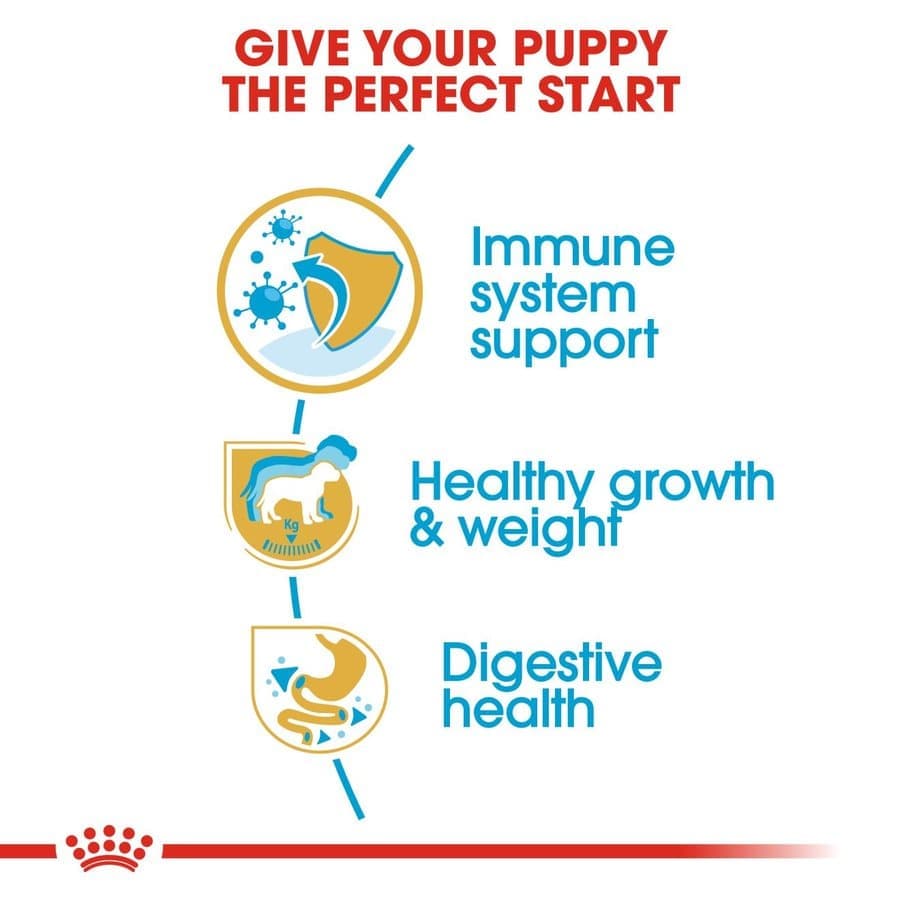 Royal Canin Labrador Retriever Puppy Dog Dry Food — back view
