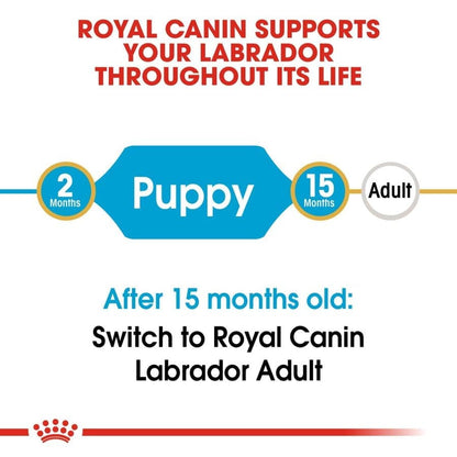 Royal Canin Labrador Retriever Puppy Dog Dry Food — in use