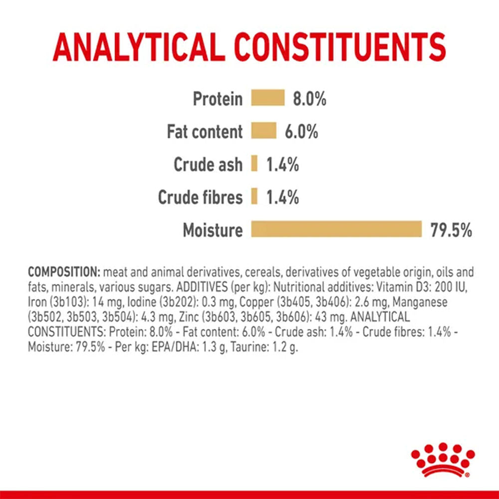 Royal Canin Loaf In Gravy Shih Tzu Adult Dog Wet Food — detail shot