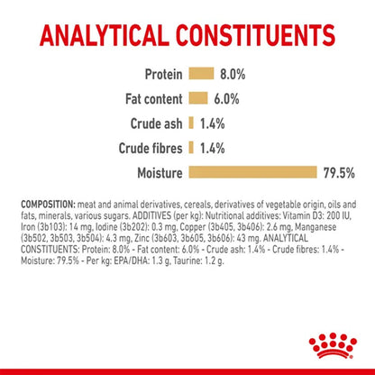 Royal Canin Loaf In Gravy Shih Tzu Adult Dog Wet Food — detail shot