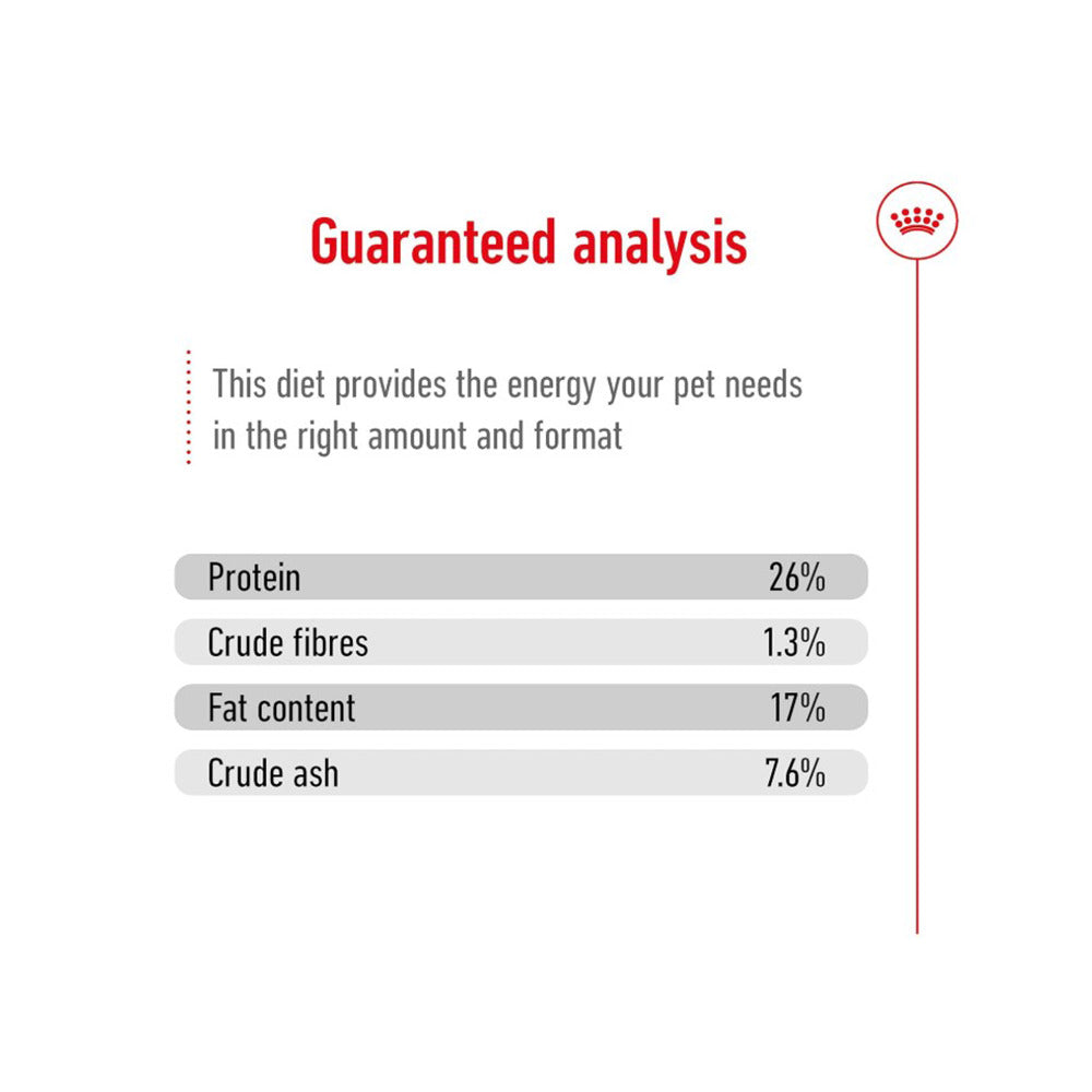 Royal Canin Maxi Adult Dog Food For Dogs 5+ years of Age, Dry Food — back view