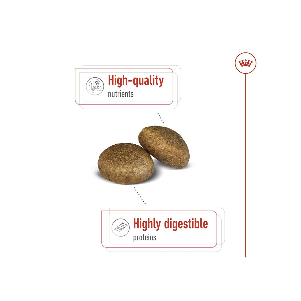 Royal Canin Maxi Adult Dog Food For Dogs 5+ years of Age, Dry Food — detail shot