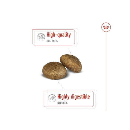 Royal Canin Maxi Adult Dog Food For Dogs 5+ years of Age, Dry Food — detail shot