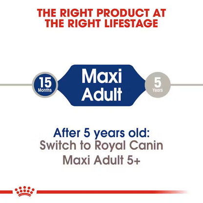 Royal Canin Maxi Adult Dog Food For Dogs 5+ years of Age, Dry Food — in use