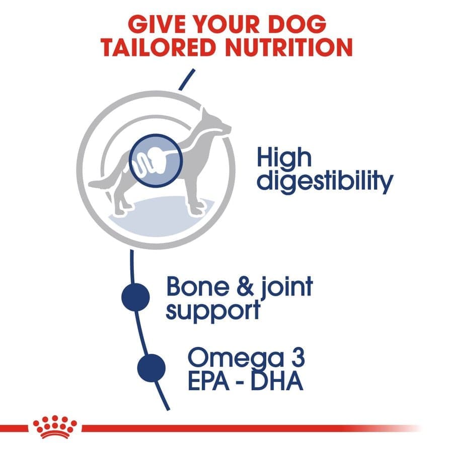 Royal Canin Maxi Adult Dog Wet Food — detail shot