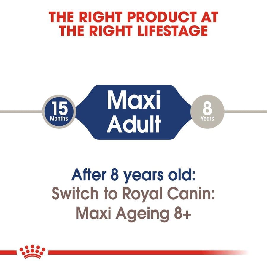 Royal Canin Maxi Adult Dog Wet Food — in use