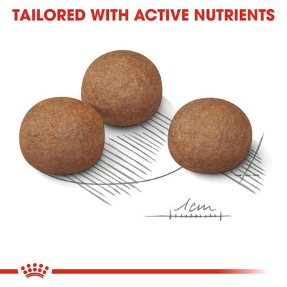 Royal Canin Maxi Digestive Care Dog Dry Food — side view