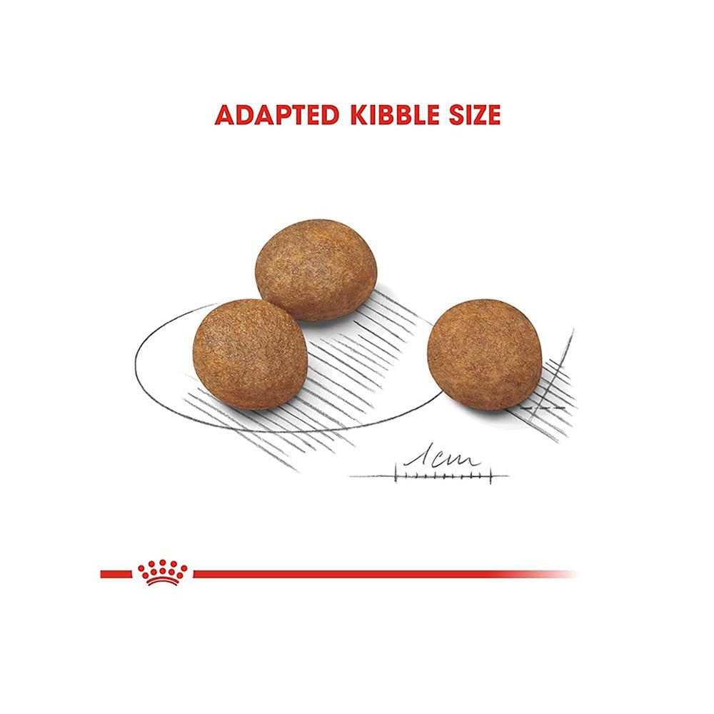 Royal Canin Maxi Puppy Dog Dry Food — detail shot