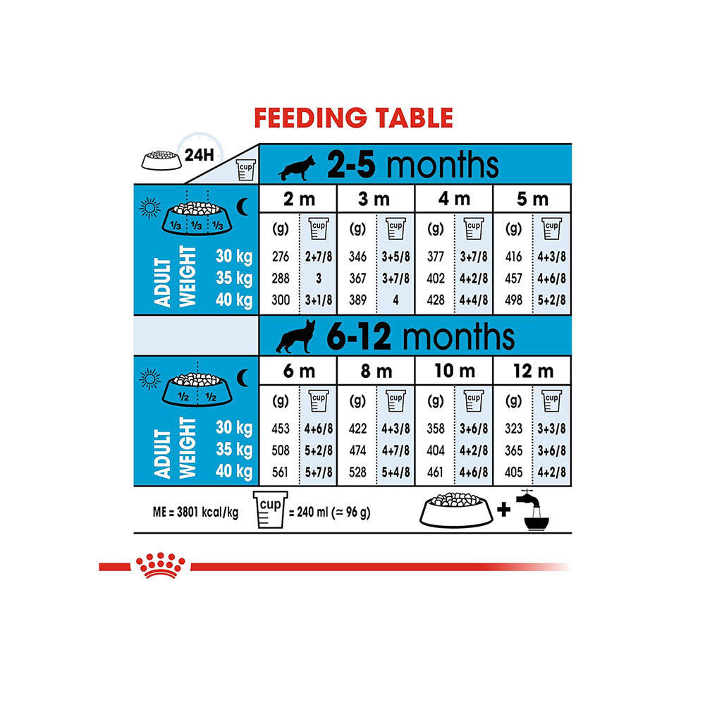 Royal Canin Maxi Puppy Dog Dry Food — in use
