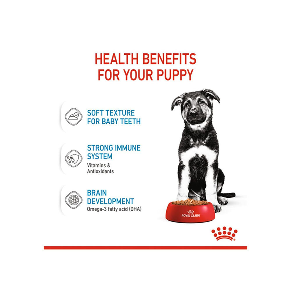 Royal Canin Maxi Puppy Dog Wet Food — detail shot