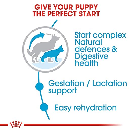 Royal Canin Maxi Starter, Mother & Babydog Dry Food — detail shot