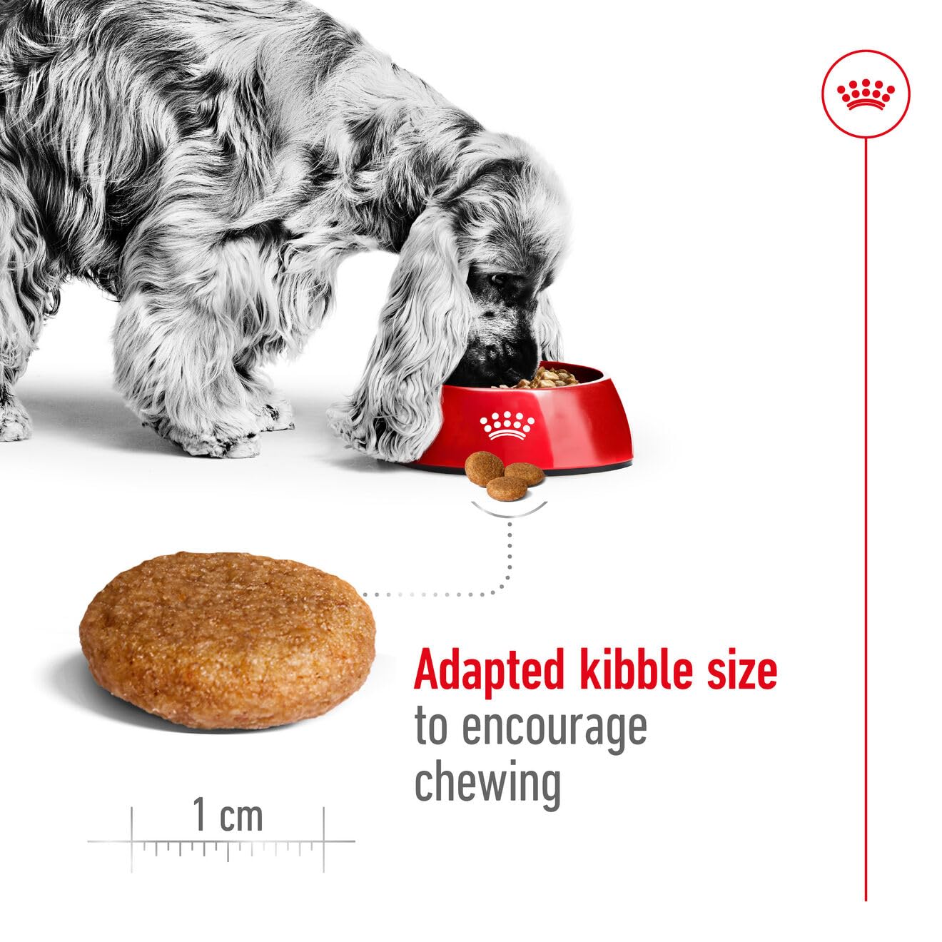 Royal Canin Medium Adult Dog Dry Food — side view