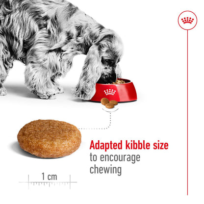 Royal Canin Medium Adult Dog Dry Food — side view