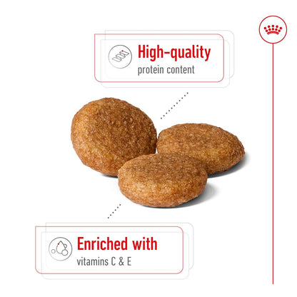 Royal Canin Medium Adult Dog Dry Food — back view
