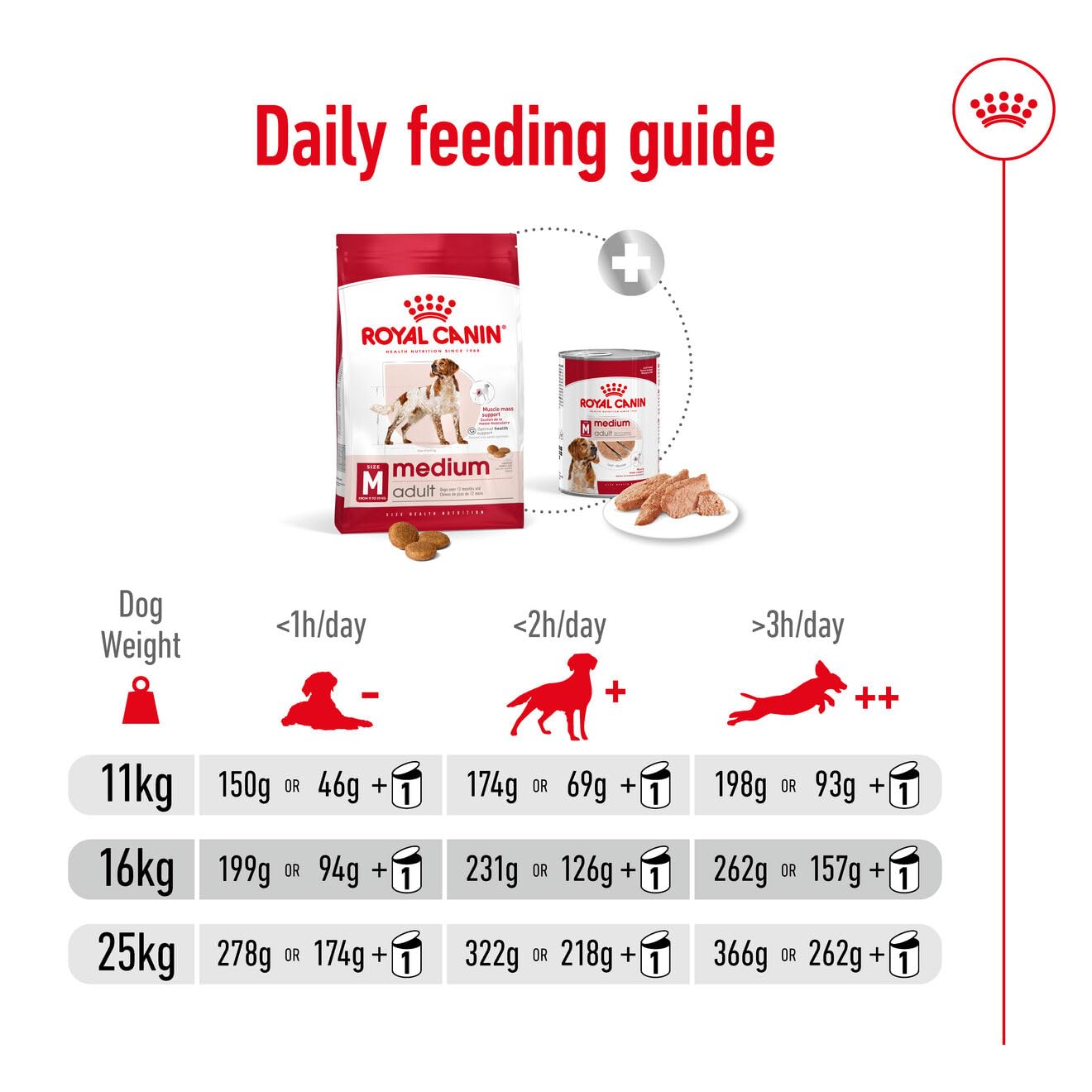 Royal Canin Medium Adult Dog Dry Food — detail shot