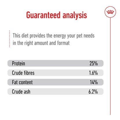 Royal Canin Medium Adult Dog Dry Food — in use