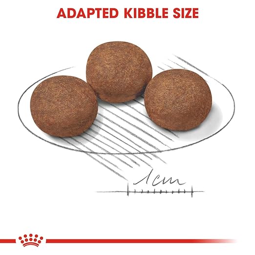 Royal Canin Medium Puppy Dog Dry Food — detail shot