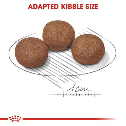 Royal Canin Medium Puppy Dog Dry Food — detail shot