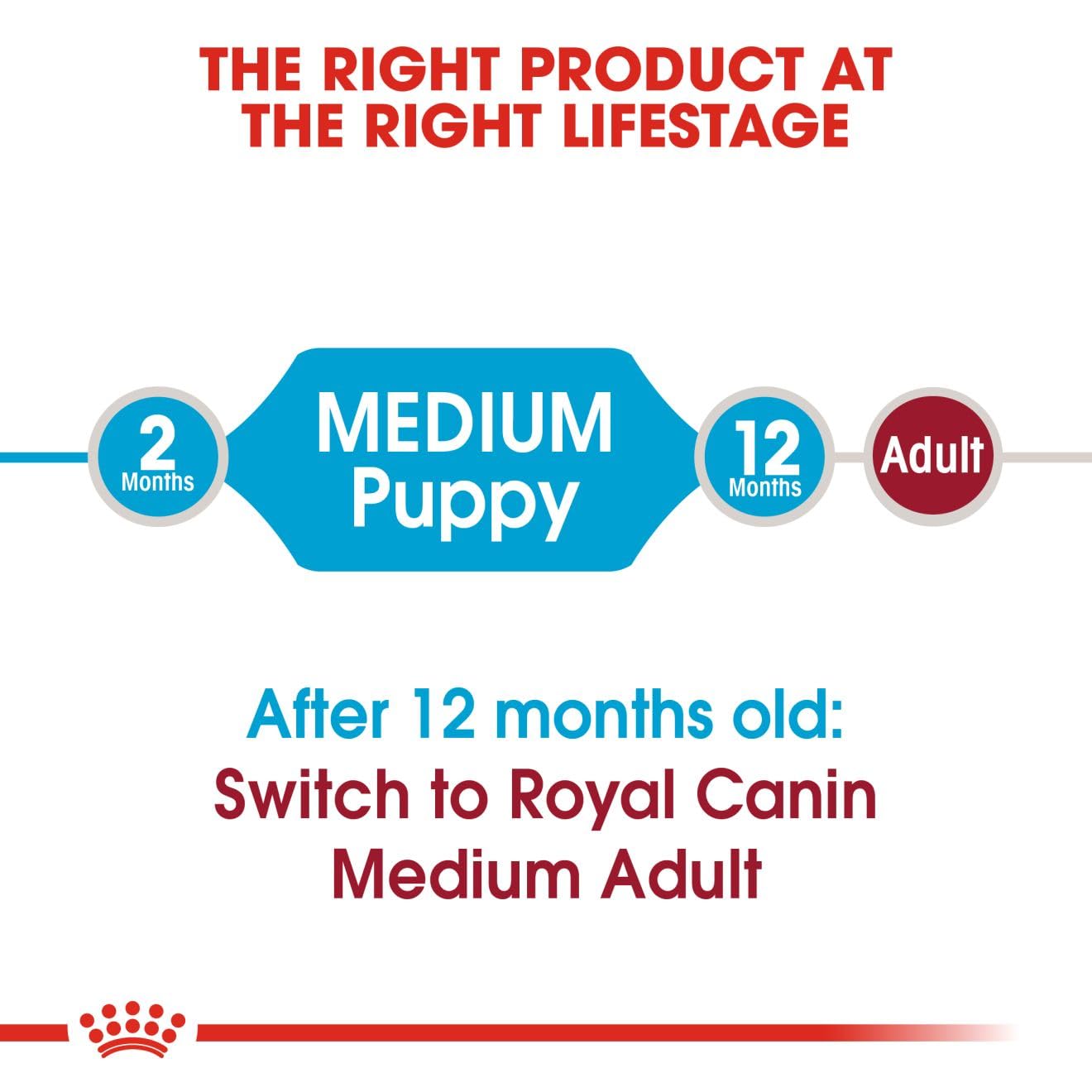 Royal Canin Medium Puppy Dog Dry Food — in use