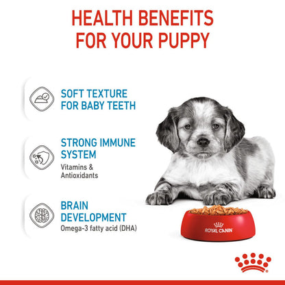 Royal Canin Medium Puppy Dog Wet Food — detail shot